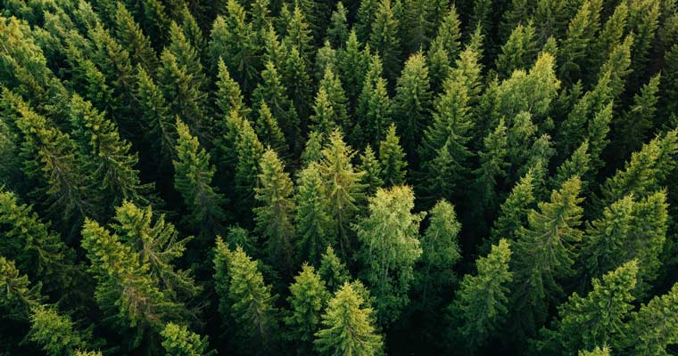 Climate and conservation